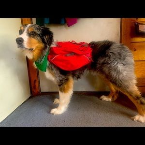 Ruffwear Palisades Dog Pack - Medium - Red - New w/o tags